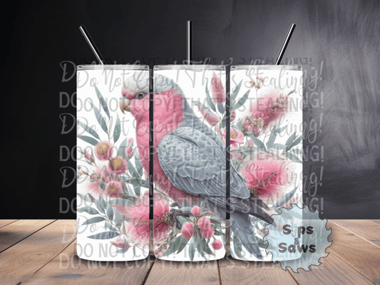 20oz Galah Tumbler