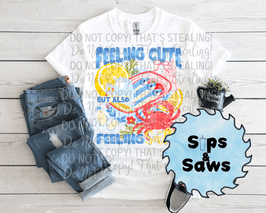 Feeling Cute But Also Feeling Salty DTF