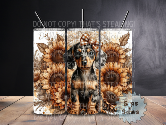 20oz Boho Dachshund Sublimation Tumbler