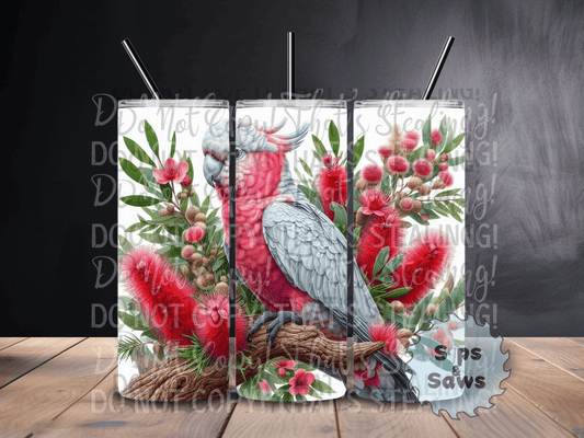 20oz Galah Tumbler